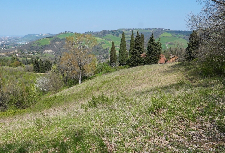 Le fioriture primaverili dei Prati di Mugnano